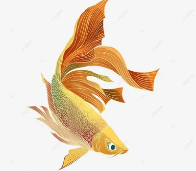 набор рыб. золотая рыбка-клоун и голубая рыба. милые рыбы. изолированные  акварельные рисунки Иллюстрация штока - иллюстрации насчитывающей море,  картина: 220744360