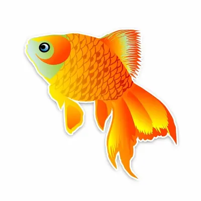 Как нарисовать золотую рыбку с короной (из Сказки о рыбаке и рыбке) |  Сказки, Раскраски, Золотая рыбка