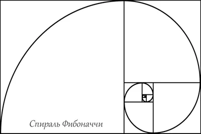 Золотое сечение картинки фотографии