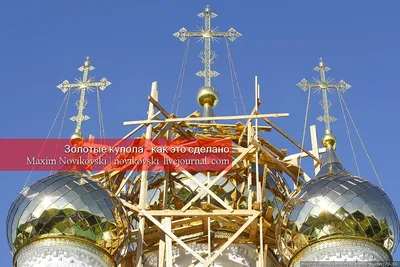 Золотые купола - фото автора Vitus на сайте Сергиев.ru