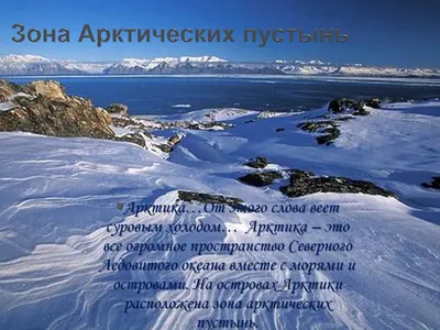 Природные зоны. Арктика. | ВКонтакте