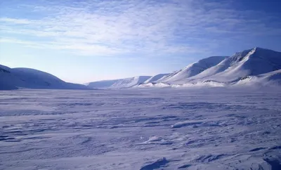 Характеристика природной зоны арктической пустыни — Природа Мира