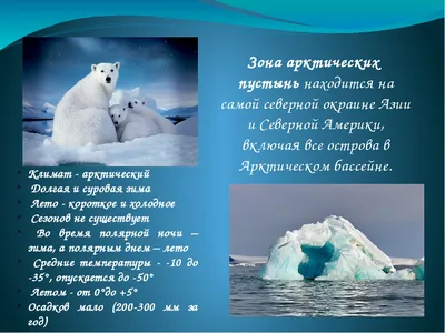 1. Животные Арктики 2. Растения Арктики 3. Глобальное потепление и Арктика  4. Сохранение природы Арктики» — создано в Шедевруме