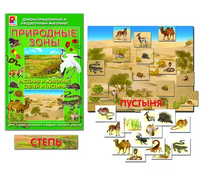Лесостепи и степи. Полупустыни, пустыни, субтропики | География 8 класс