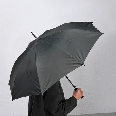 Зонт радуга Стоковые фотографии, картинки, все без лицензионных отчислений  - Envato Elements