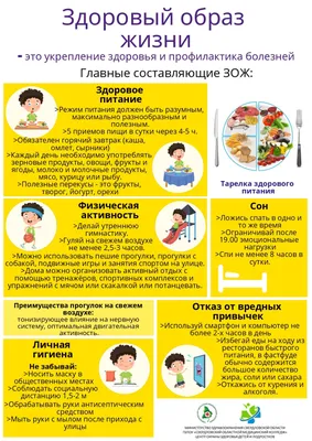 Здоровый образ жизни (ЗОЖ) | МКОУ «Ярагказмалярская СОШ им. М.Ярагског